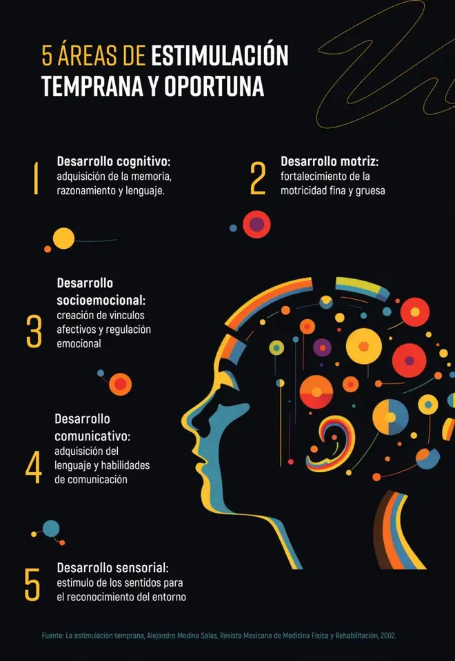 infografía que describe las áreas de la estimulación infantil