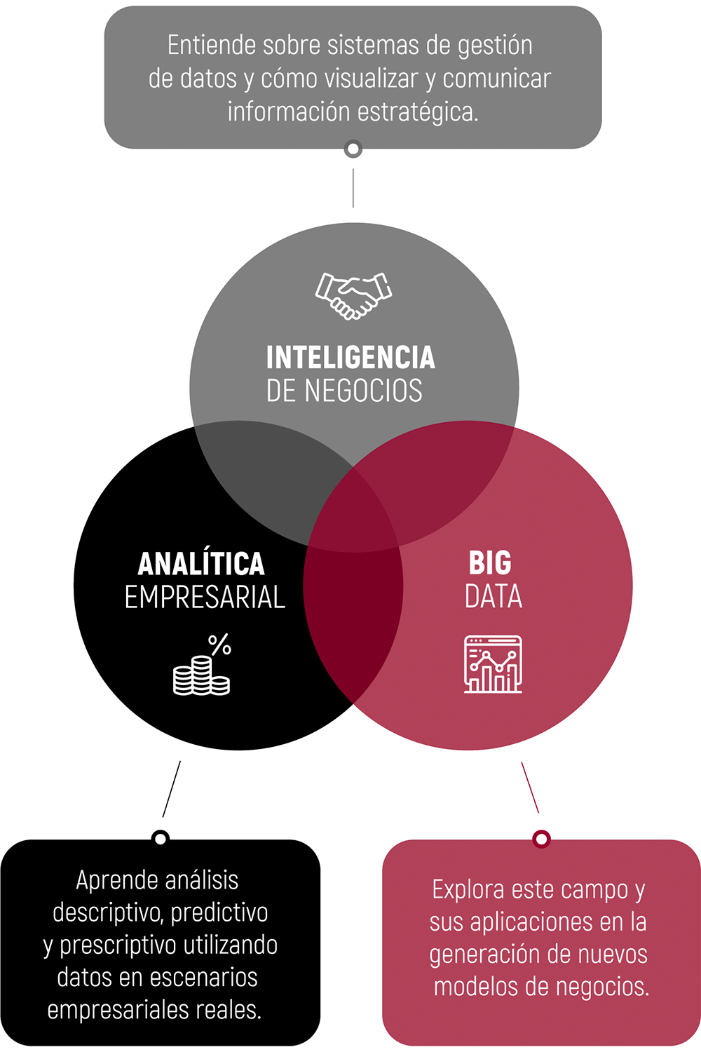 Habilidades de la maestria online en intelligencia de negocios
